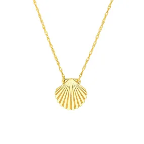 14K Yellow Gold So You Seashell Necklace