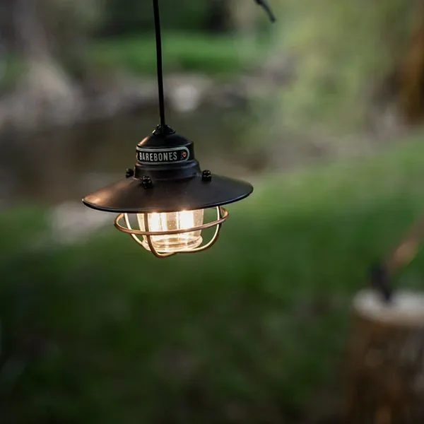 Barebones Edison Pendant Light