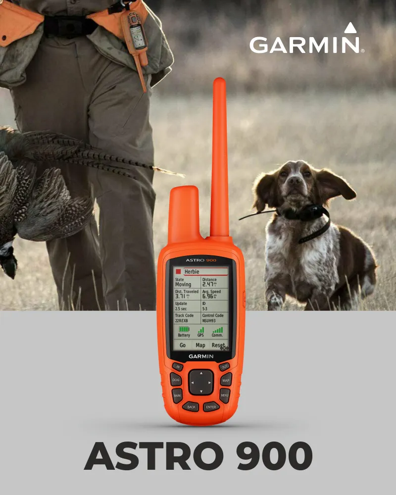 Garmin Astro 900 Dog Tracking Bundle, GPS Sporting, Canada/US