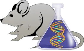 Mouse Factor IX Genetically Deficient Heart Lyophilized