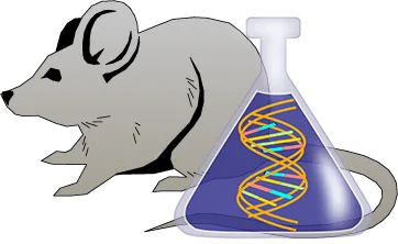 Mouse Factor IX Genetically Deficient Spleen