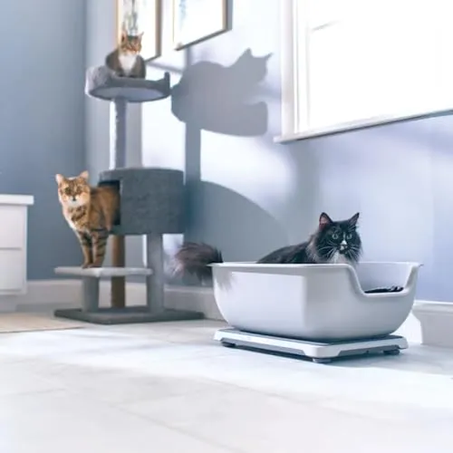 Petivity Powered by Purina Smart Litter Box Monitor System - AI Technology Tracks Changes in Weight, and Habits - Alerts Cat Owners to Potential Health Conditions - No Subscription Required