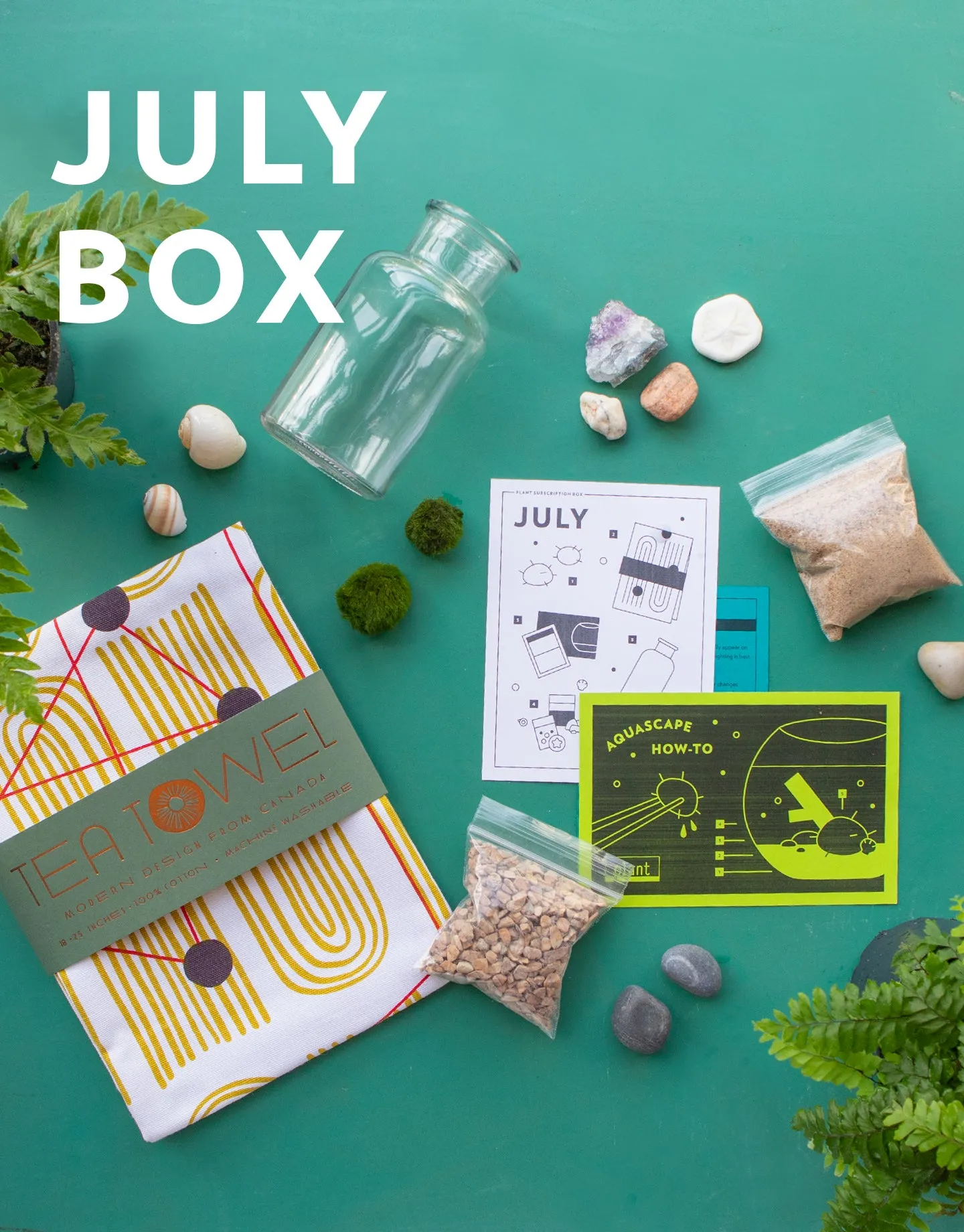 Plant's Monthly Subscription Box