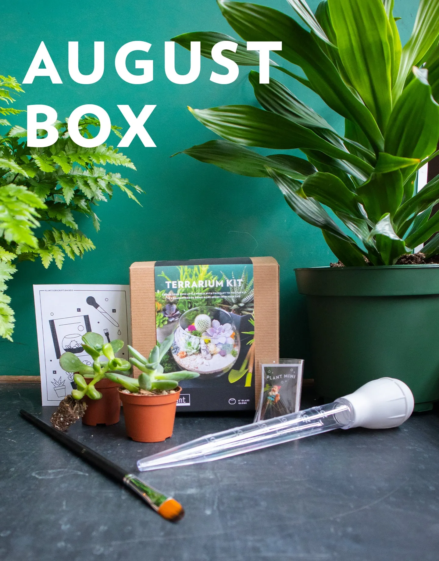 Plant's Monthly Subscription Box