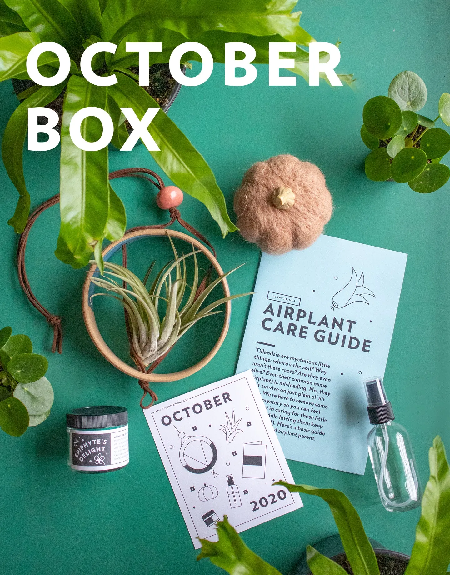 Plant's Monthly Subscription Box