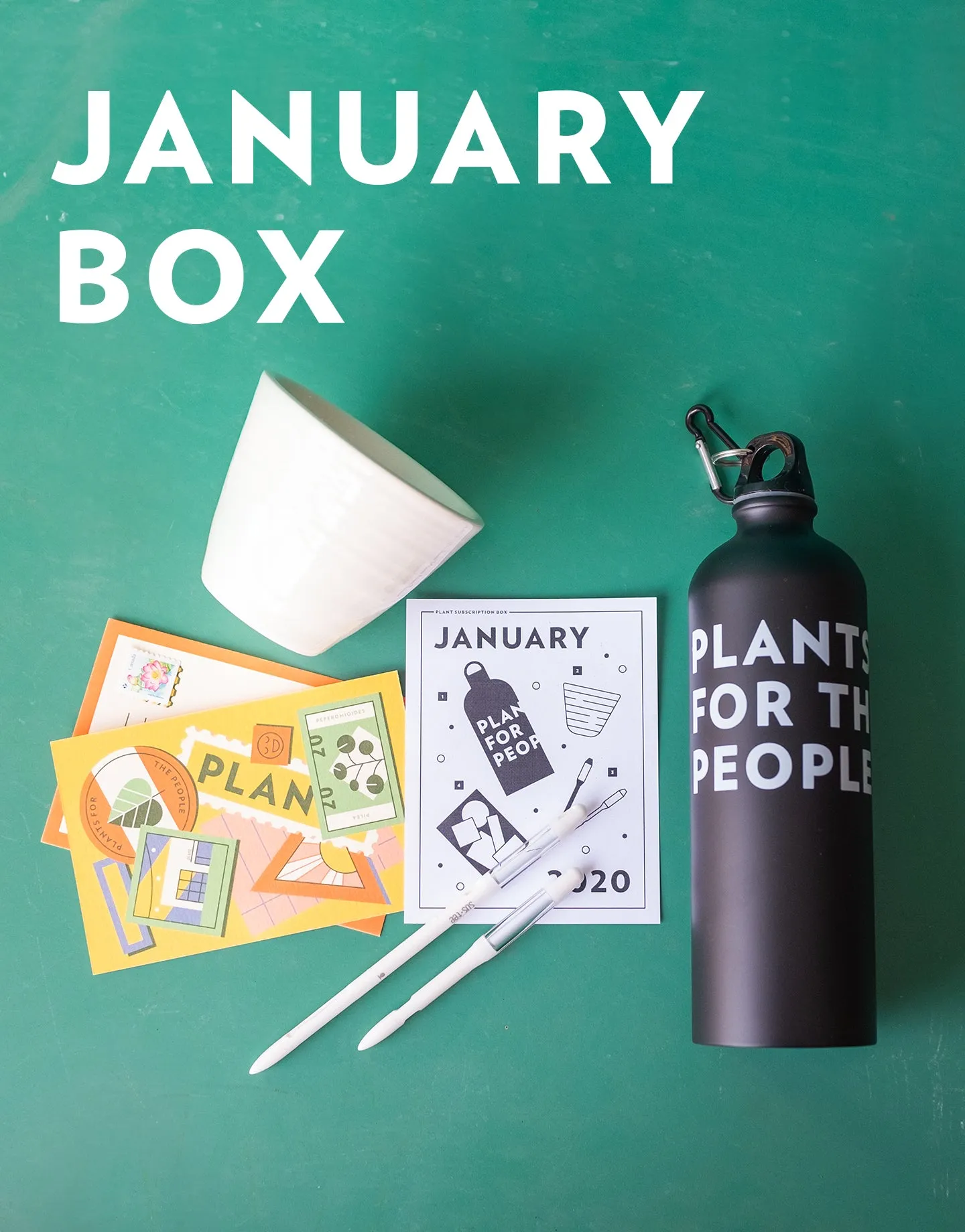 Plant's Monthly Subscription Box