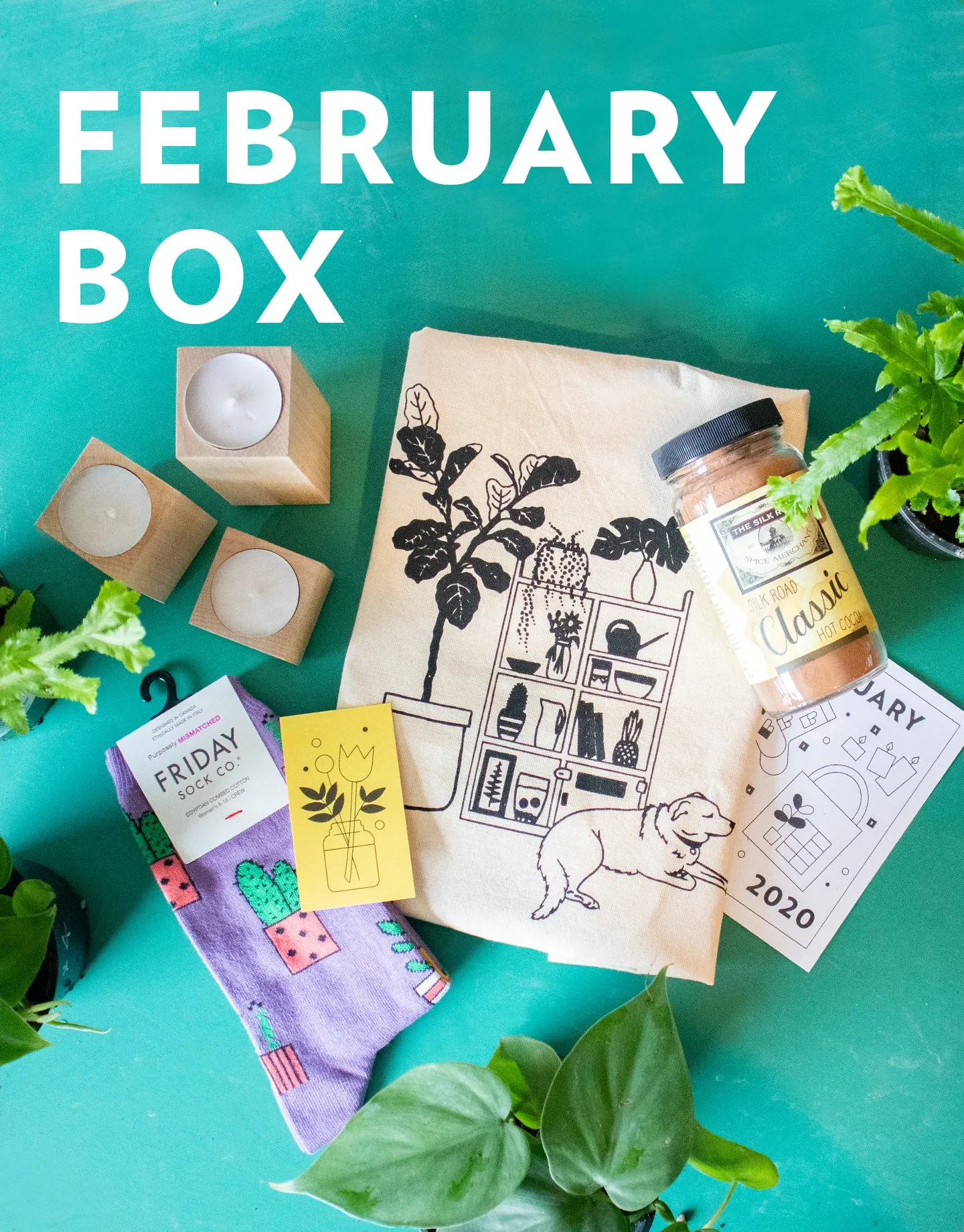 Plant's Monthly Subscription Box