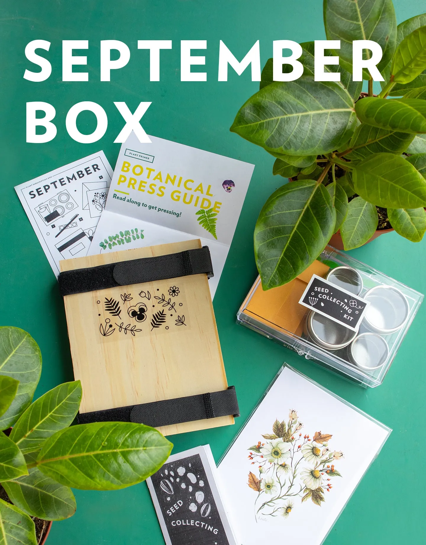 Plant's Monthly Subscription Box