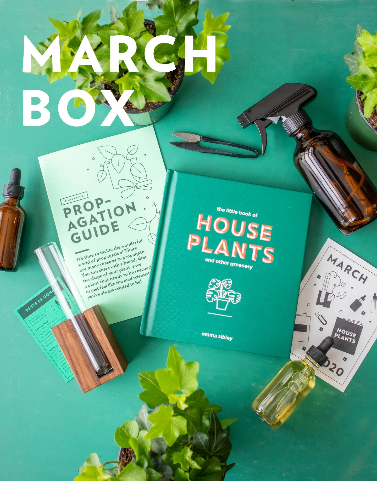 Plant's Monthly Subscription Box