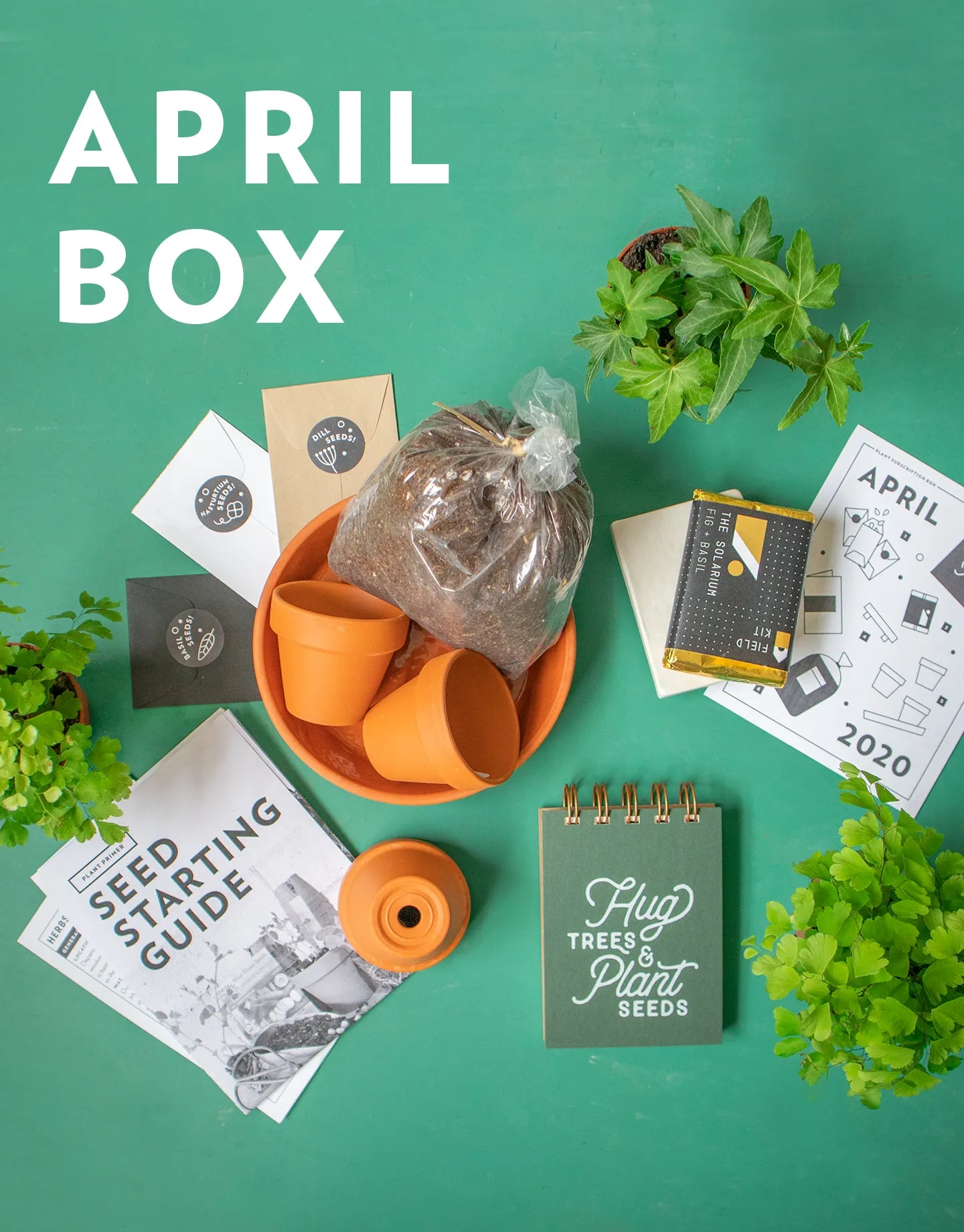 Plant's Monthly Subscription Box