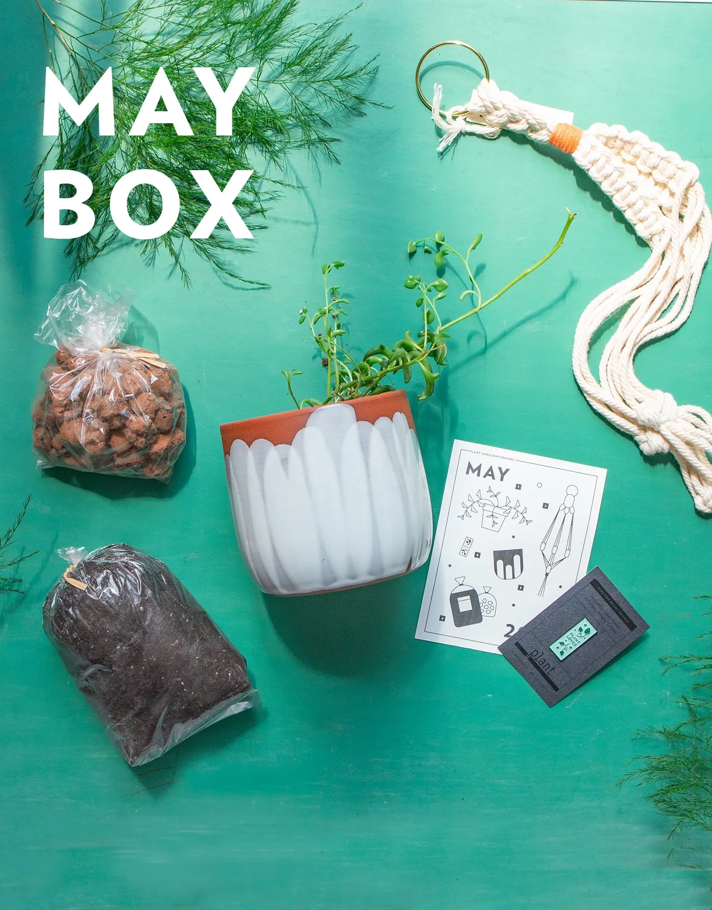 Plant's Monthly Subscription Box