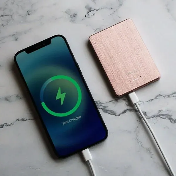 PowerGO - Magnetic Power Bank DUO