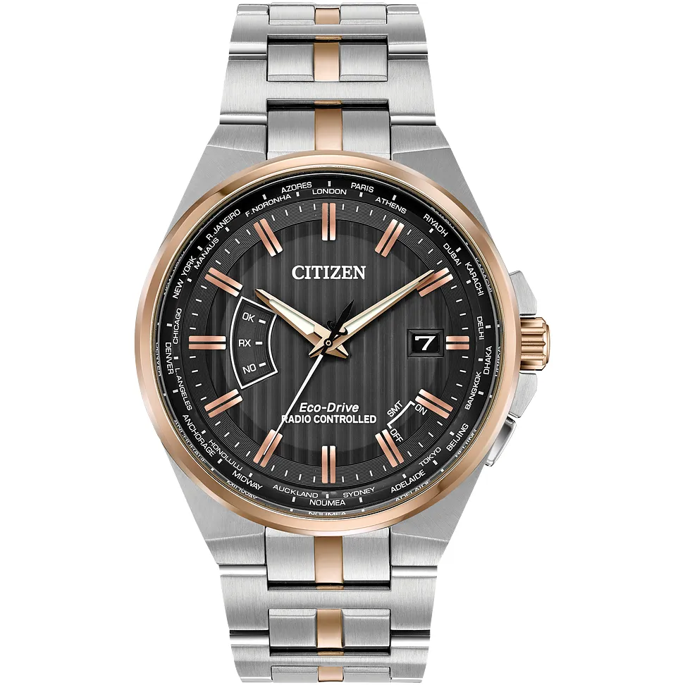 World Perpetual A-T MEN ECO WR100 SSTRG BRAC GRAY