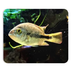 Yellow and Black Fish Mouse Pad (EU)